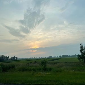 Meet your Posher, Emilia